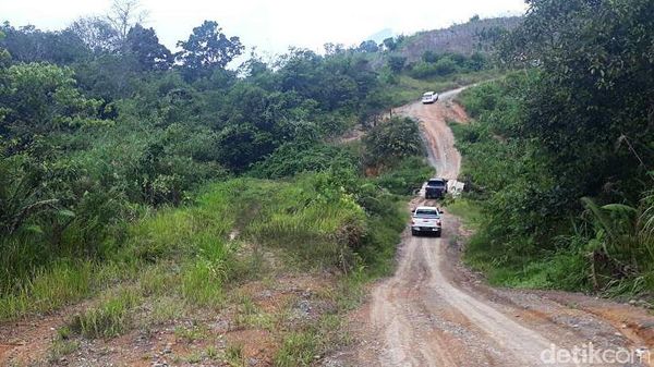 Begini Penampakan Jalan Paralel Perbatasan RI-Malaysia