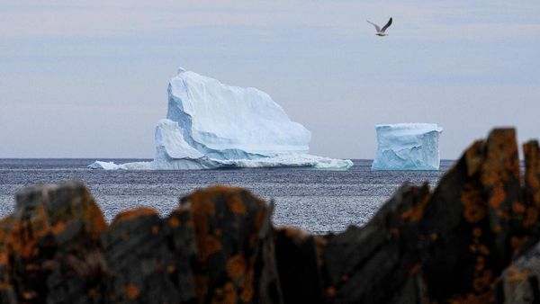 Heboh, Gunung Es Terapung di Pantai Kanada