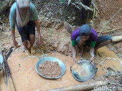 Penampakan Keriuhan Warga di Hutan Kolaka Berburu Serbuk Emas