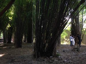 Pulang Kampung ke Surabaya, Main ke Sini Rek! Pulang Kampung ke Surabaya, Main ke Sini Rek!