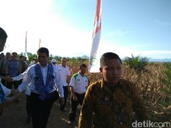 Amankah Pasokan Daging Saat Ramadan dan Lebaran? Ini Kata Mentan