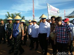 Mentan Tinjau Produksi Jagung Hingga Kakao di Mamuju