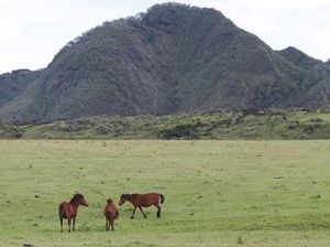 Jaring Wisman Timor Leste, Atambua Siapkan Atraksi Desa Fatubesi