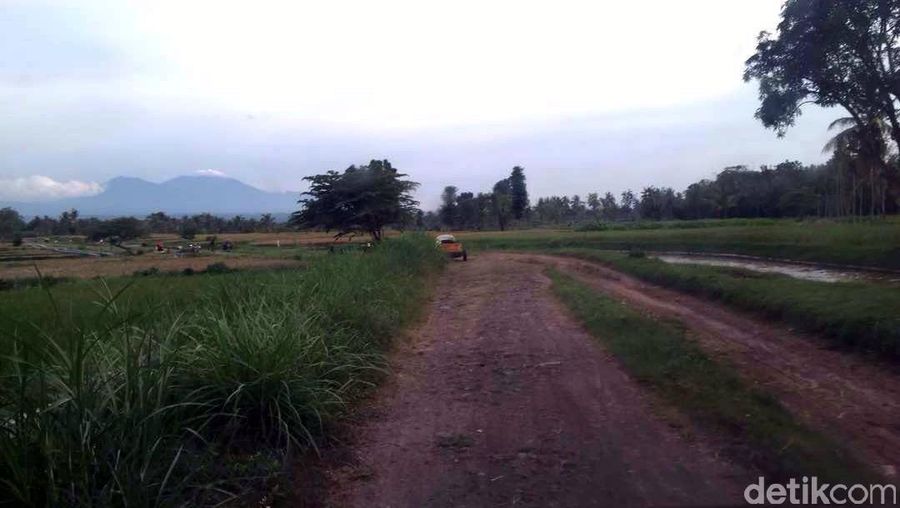 Selama perjalanan, hiburannya hanya melihat sawah dan kebun menghijau yang berada di kanan dan kiri jalan. Ada juga hutan dan sungai yang mengalir di tepinya (Narulita/detikTravel)