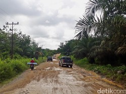 Jalan Paralel Entikong-Rasau 2 Tembus Hutan Hingga Lewati Sungai