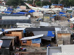 Datangi Kampung Akuarium, Kasatpol PP: Hanya Lihat Situasi