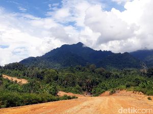 Siap-siap, Orang Kalimantan Bisa Rasakan Pembangunan Seperti Jawa Siap-siap, Orang Kalimantan Bisa Rasakan Pembangunan Seperti Jawa