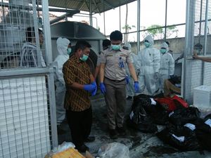 Cegah Flu Burung, Unggas asal Malaysia dan China Dimusnahkan