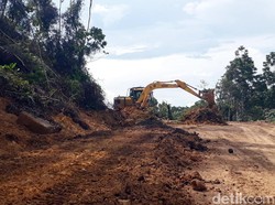 Luasnya 6 Kali Jawa, Kalimantan Cuma Nikmati 8% Pembangunan RI