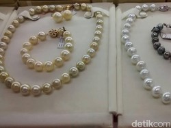 Mutiara Perairan Lombok Tembus Pasar Asia, Eropa, dan Timur Tengah