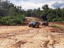 Ada Jalan Paralel, Warga Pedalaman Kalimantan Makin Mudah ke Kota