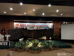 Provinsi NTT Gelar Expo dan Food Festival di Surabaya