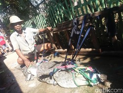 Cerita Raswin Melawan Buaya di Sawah di Kembangan