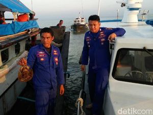Digagalkan, Penyelundupan 300 Ketam dari Langkat ke Thailand