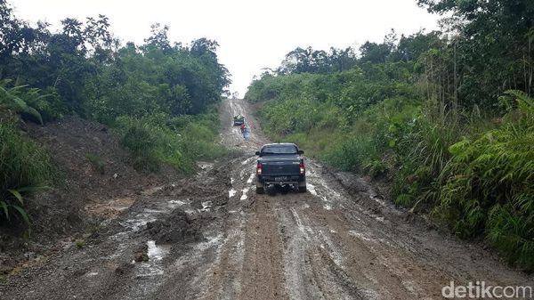 Jalan Perbatasan Belah Hutan Kalbar