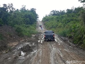 Masih Ada 107 Km Jalan Perbatasan Kalbar Tertutup Hutan Belantara Masih Ada 107 Km Jalan Perbatasan Kalbar Tertutup Hutan Belantara