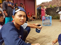 Cerita Hendrik Remaja 16 Tahun yang Tangkap Sanca Kembang 5 Meter
