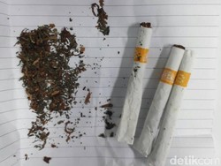 Iwa K Ditangkap, Petugas Curiga Bentuk Rokok dan Tembakau Hijau