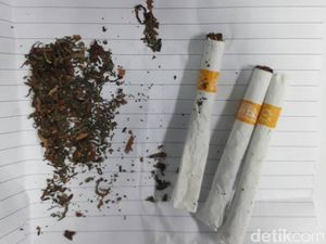 Kasus Ganja Iwa K, Polisi Buru Seorang Berinisial N Kasus Ganja Iwa K, Polisi Buru Seorang Berinisial N