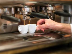 Ini Jenis Kopi Paling Mahal di Indonesia Ini Jenis Kopi Paling Mahal di Indonesia