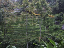 Labirin Vertikal, Destinasi Long Weekend Unik di Bandung