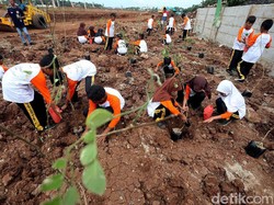 15 Ribu Pohon Produktif Hijaukan Kota Bandung