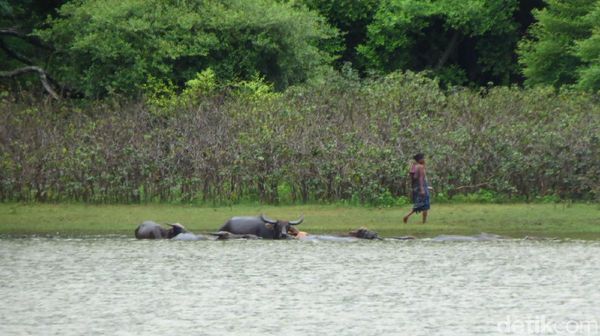 Bukan Lautan, Hanya Kolam Susuk...