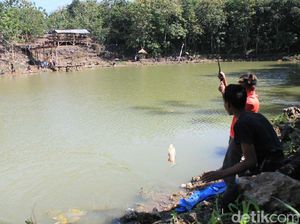 Warga Dlingo, Bantul Sulap Telaga Tadah Hujan Jadi Area Pemancingan Warga Dlingo, Bantul Sulap Telaga Tadah Hujan Jadi Area Pemancingan