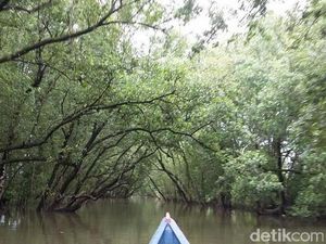 Yuk Liburan ke Tarakan