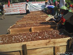 Hari Buruh, Petani Telukjambe Gelar Aksi Kubur Diri