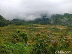 Pesan JK Kembangkan Puncak Sulawesi Selatan
