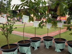 Bukan Lagi Karangan Bunga, Warga Kini Kirim Pot Tanaman untuk Ahok