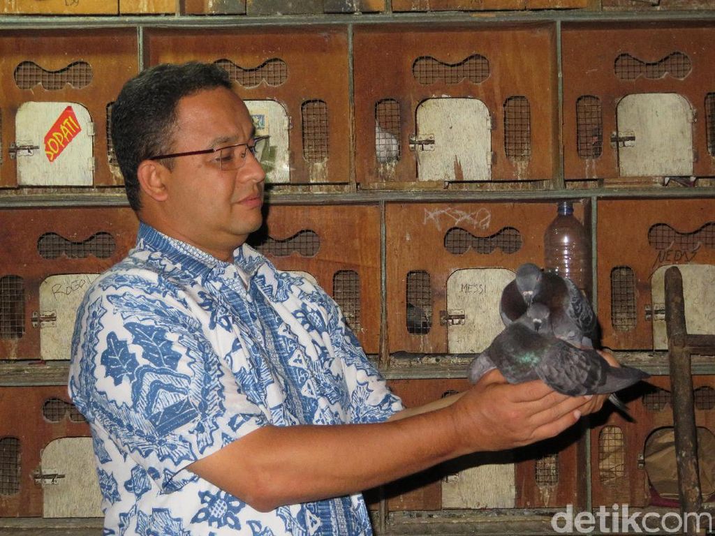 Ahok akan Tertibkan Kampung Akuarium, Anies: Jangan Sepihak Ahok akan Tertibkan Kampung Akuarium, Anies: Jangan Sepihak
