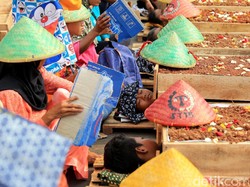 Solusi Jokowi untuk Petani Telukjambe Karawang: Siapkan Lahan