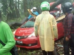 Sudin Kehutanan Jaksel akan Tebang Pohon Berbahaya di Dekat UI