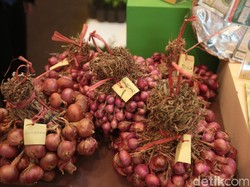 Ini Dia Bawang Merah Amfibi yang Tahan Hujan dan Kemarau