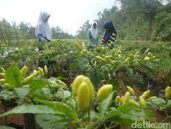 Agenda Pendidikan untuk Masa Depan