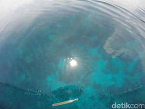 Sebening Kaca! Ini Tempat Diving Keren di Karimunjawa