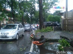 Tumbang Tersambar Petir, Pohon Sempat Tutup Jalan Bengawan Bandung