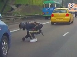 Viral, Pemotor Selamatkan Anak Kucing di Jalanan Ramai