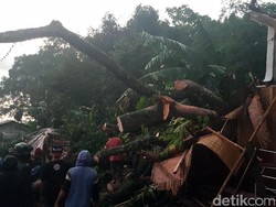 Bocah 13 Tahun Tewas Tertimpa Pohon Tumbang di Sukabumi