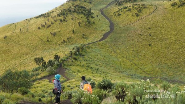 Ini 10 Taman Nasional Paling Populer Di Indonesia