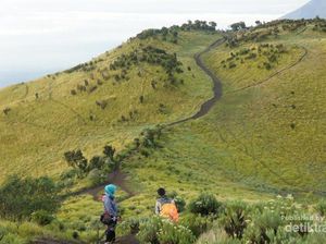 Ini 10 Taman Nasional Paling Populer di Indonesia