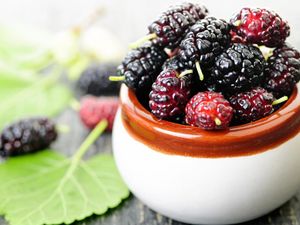 Hati-Hati, Jika Dikonsumsi Berlebih 8 Makanan Ini Dapat Sebabkan Halusinasi (2)