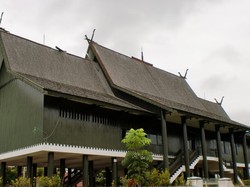 Calon Ibu Kota Baru RI Ada di 3 Provinsi Ini