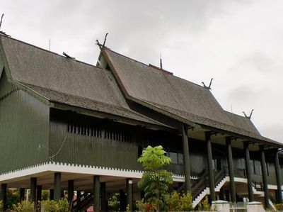 Foto: Rumah Betang yang Disebut Maruf Amin di Debat Cawapres 2019