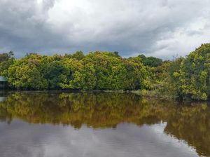 Unik, Palangkaraya Punya Danau Berwarna Kemerahan