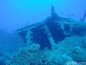 Perusak Terumbu Karang di Karimunjawa Harus Bertanggungjawab