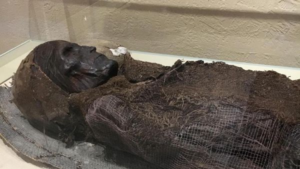 Potret Mumi Misterius dari Xinjiang, Berani Lihat?