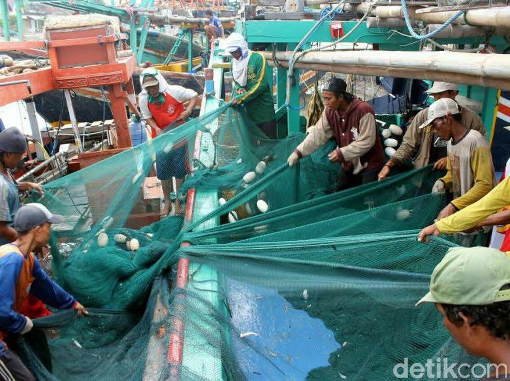 Nelayan Kabupaten Pasuruan Diajak Budidaya Kerang Hijau